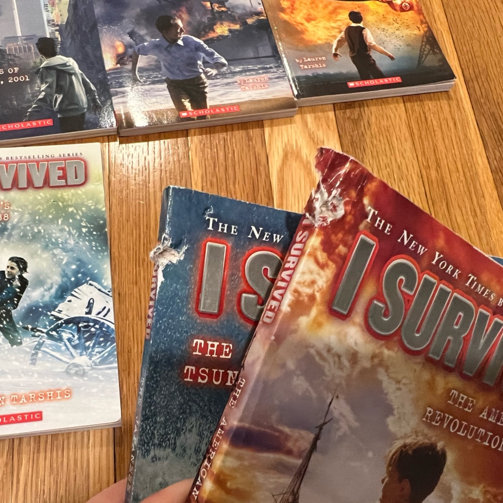 15 “I Survived” Chapter Books 📚 by Lauren Tarshis - Picture 3 of 4